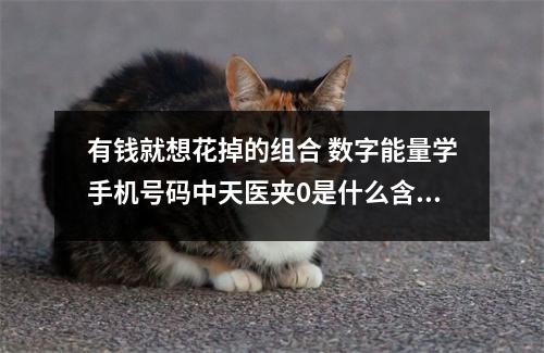 有钱就想花掉的组合 数字能量学手机号码中天医夹0是什么含义