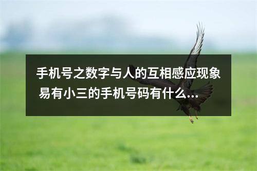 手机号之数字与人的互相感应现象 易有小三的手机号码有什么特点