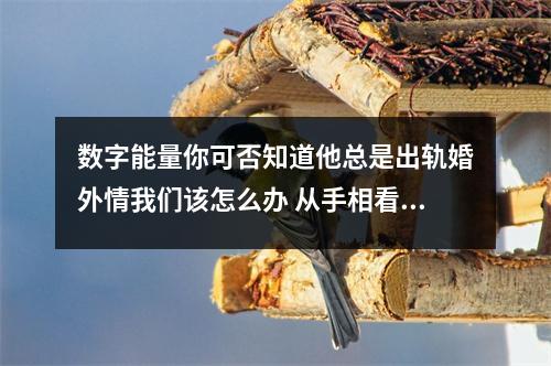数字能量你可否知道他总是出轨婚外情我们该怎么办 从手相看爱情