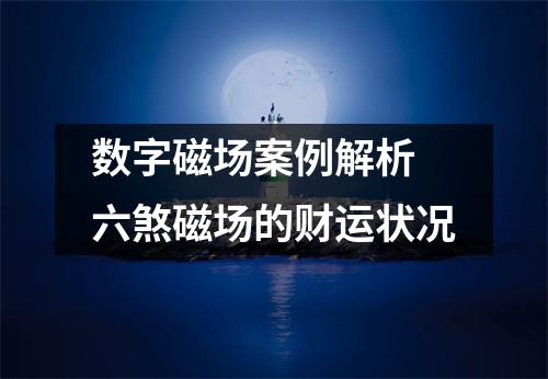 数字磁场案例解析 六煞磁场的财运状况
