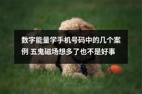 数字能量学手机号码中的几个案例 五鬼磁场想多了也不是好事
