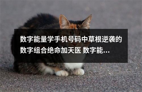 数字能量学手机号码中草根逆袭的数字组合绝命加天医 数字能量学手机号码里压力山大的数字手机尾号哪些不能要