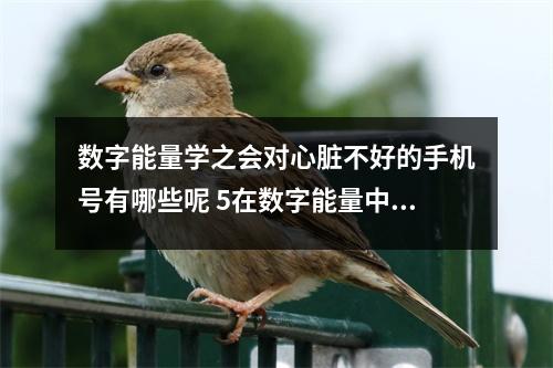 数字能量学之会对心脏不好的手机号有哪些呢 5在数字能量中有什么作用