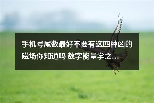 手机号尾数最好不要有这四种凶的磁场你知道吗 数字能量学之让你开车超速产生车祸罚单的车牌号码