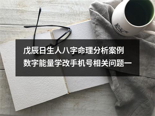 戊辰日生人八字命理分析案例 数字能量学改手机号相关问题一