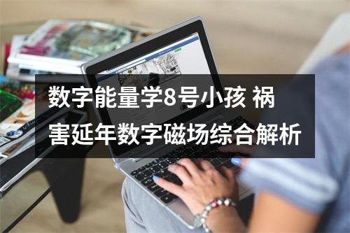 数字能量学8号小孩 祸害延年数字磁场综合解析