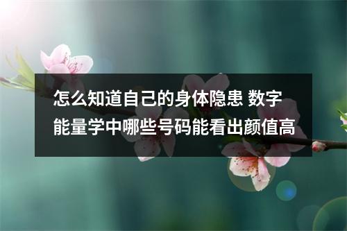 怎么知道自己的身体隐患 数字能量学中哪些号码能看出颜值高