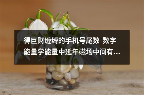 得巨财缠缚的手机号尾数  数字能量学能量中延年磁场中间有0的解析