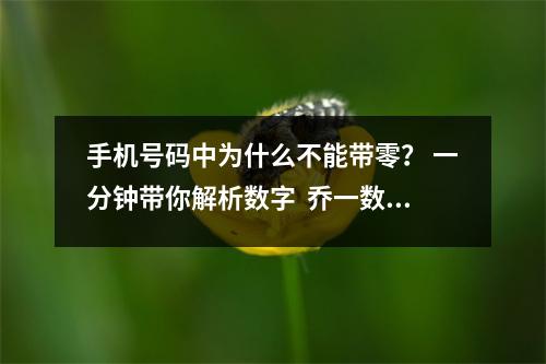 手机号码中为什么不能带零？ 一分钟带你解析数字  乔一数字能量学，数字能量学手机号码中数字79的