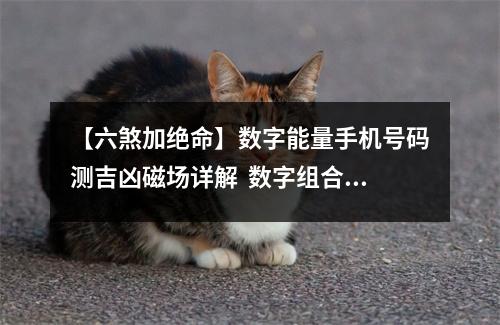 【六煞加绝命】数字能量手机号码测吉凶磁场详解  数字组合之绝命磁场加六煞磁场乔.一易学