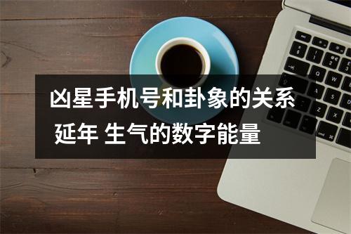 凶星手机号和卦象的关系  延年 生气的数字能量