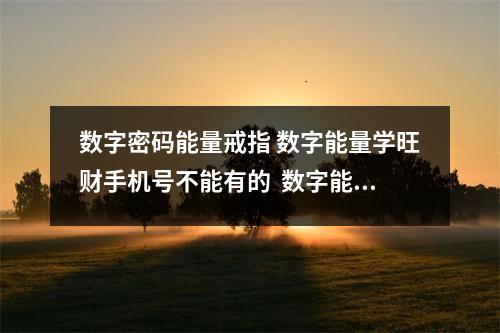 数字密码能量戒指 数字能量学旺财手机号不能有的  数字能量学什么为阴阳数字 数字能量等级的变化