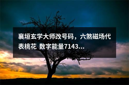 襄垣玄学大师改号码，六煞磁场代表桃花  数字能量7143 数字能量学——八星