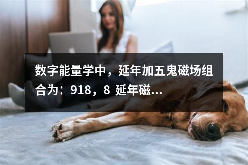 数字能量学中，延年加五鬼磁场组合为：918，8  延年磁场的财运收入稳定，求财辛苦