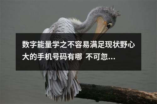数字能量学之不容易满足现状野心大的手机号码有哪  不可忽视！手机号码对一个人健康至关重要