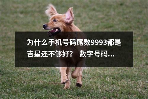 为什么手机号码尾数9993都是吉星还不够好？  数字号码·