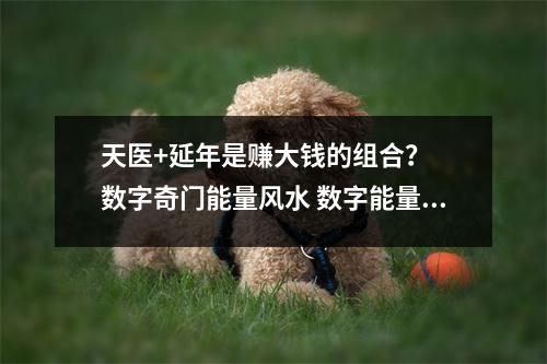 天医+延年是赚大钱的组合？  数字奇门能量风水 数字能量学帮你手机号码识人