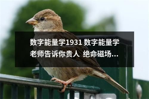 数字能量学1931 数字能量学老师告诉你贵人  绝命磁场的人不懂得理财还容易轻信别人但是他