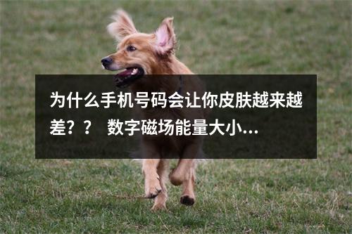 为什么手机号码会让你皮肤越来越差？？  数字磁场能量大小的组合及叠加