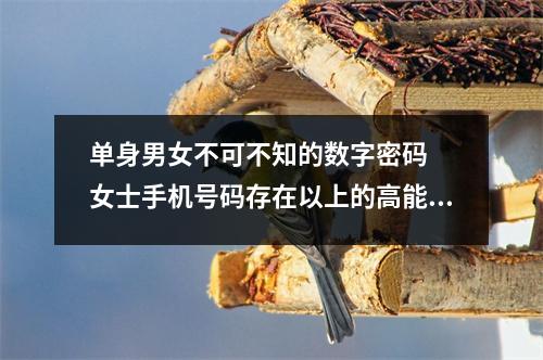 单身男女不可不知的数字密码  女士手机号码存在以上的高能量延年数字