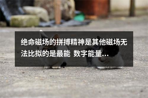 绝命磁场的拼搏精神是其他磁场无法比拟的是最能  数字能量手机号—再谈钱财的磁场天医星