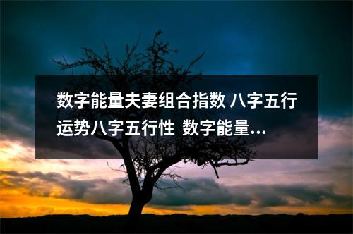 数字能量夫妻组合指数 八字五行运势八字五行性  数字能量做股票 手机号伏位的数字能量的行为模式